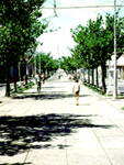 Paseo del Prado