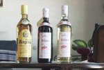 Degustaran catadores buen vino de frutas cubanas en la Perla del Sur