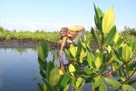 Crece patrimonio vegetal en reservorio natural cienfueguero