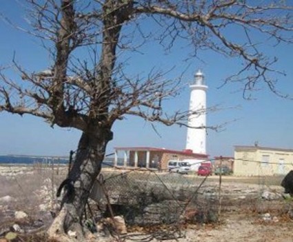 Nace en faro Los Colorados sitio político y recreativo para honrar a José Martí