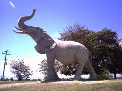 Terminan escultura de elefante en estadio Cinco de Septiembre, de Cienfuegos