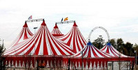El hechizo del circo