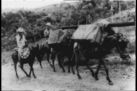 El cine móvil en Cuba: una experiencia de cine comunitario nacida con la Revolución