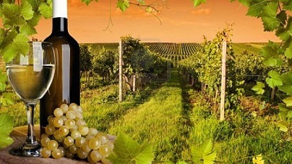 Anuncian XVII Edición de la Fiesta Internacional del Vino en Cuba