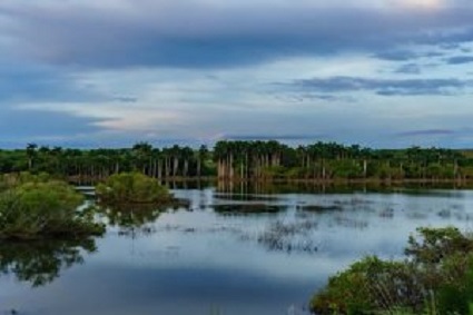 Producen Documental en el Área Protegida Refugio de Fauna Guanaroca – Punta Gavilán de Cienfuegos